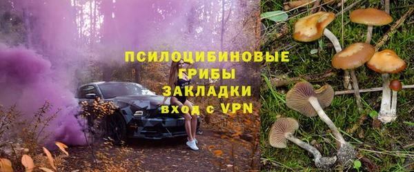 тгк Абинск
